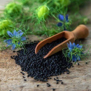 Чернушка посевная семена, Nigella sativa seeds